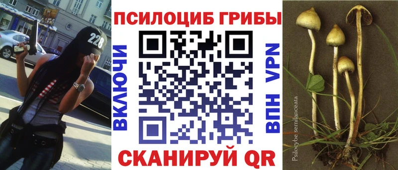 мориарти телеграм  Анива  Псилоцибиновые грибы Psilocybe  наркотики 